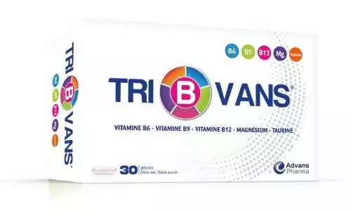 Tribvans